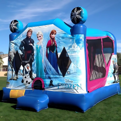 Disney Frozen Combo