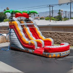 NEW 15’ Single Lane Fruit Punch (Pool)